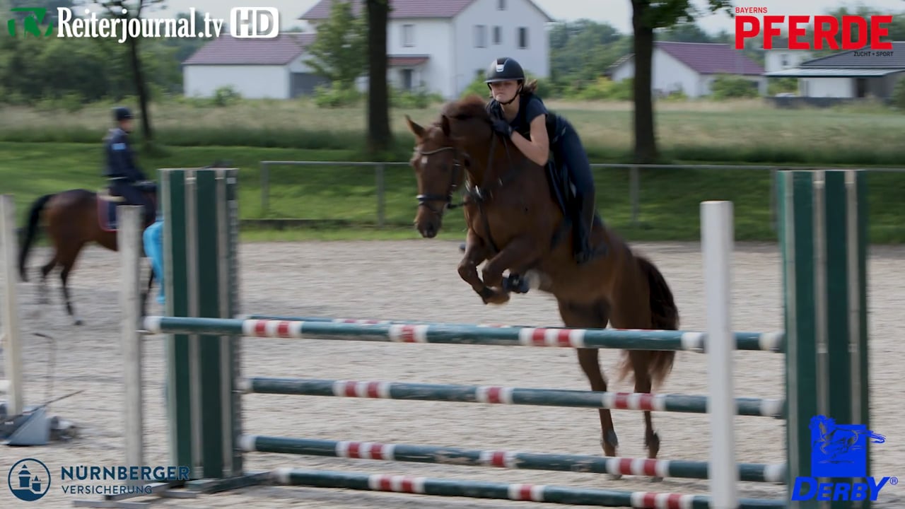 Nachwuchskader-Trainingstag Springen Ingolstadt-Hagau - präsentiert von DERBY Pferdefutter und NÜRNBERGER Versicherung