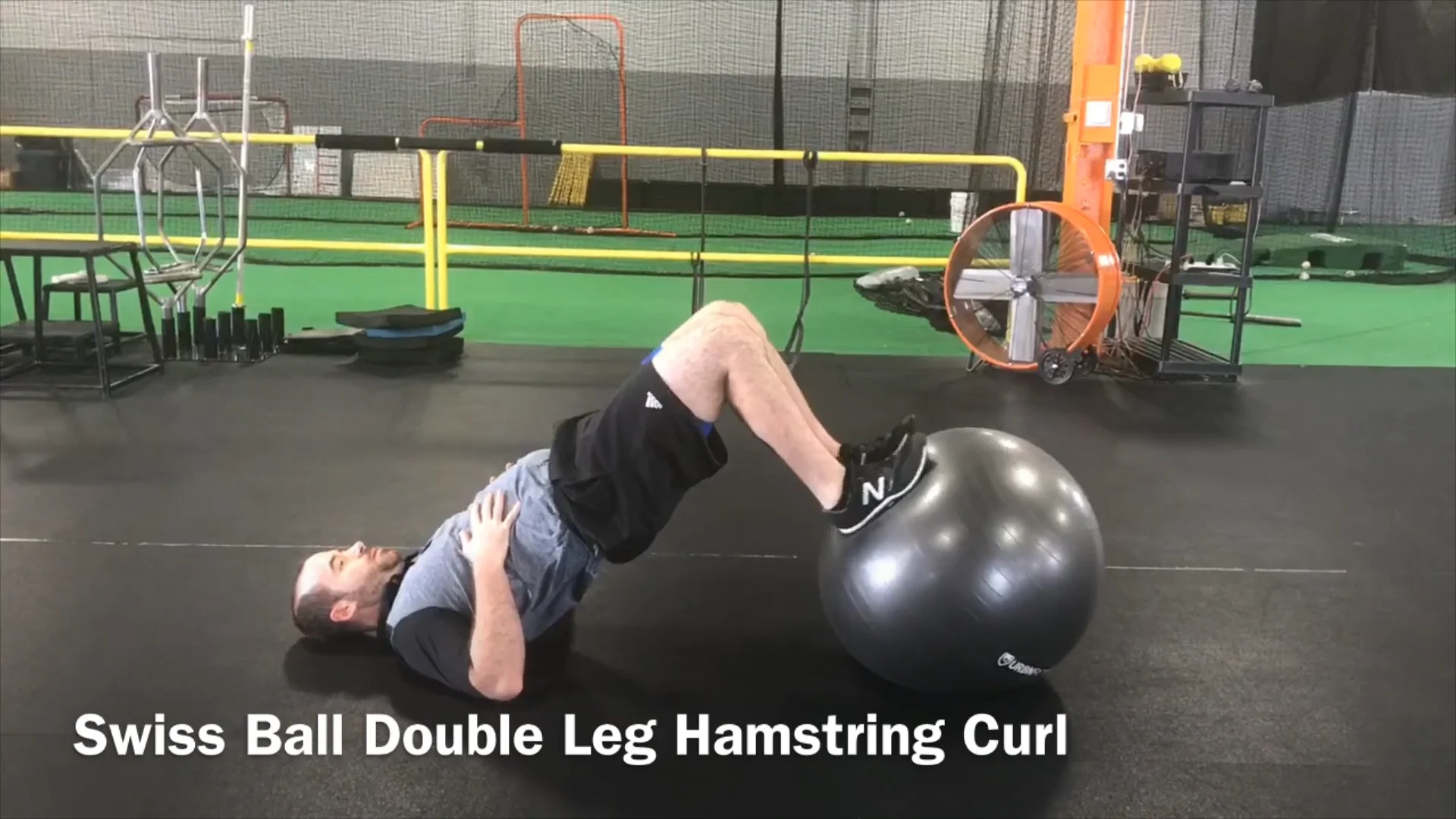 Gym ball hamstring curl hot sale