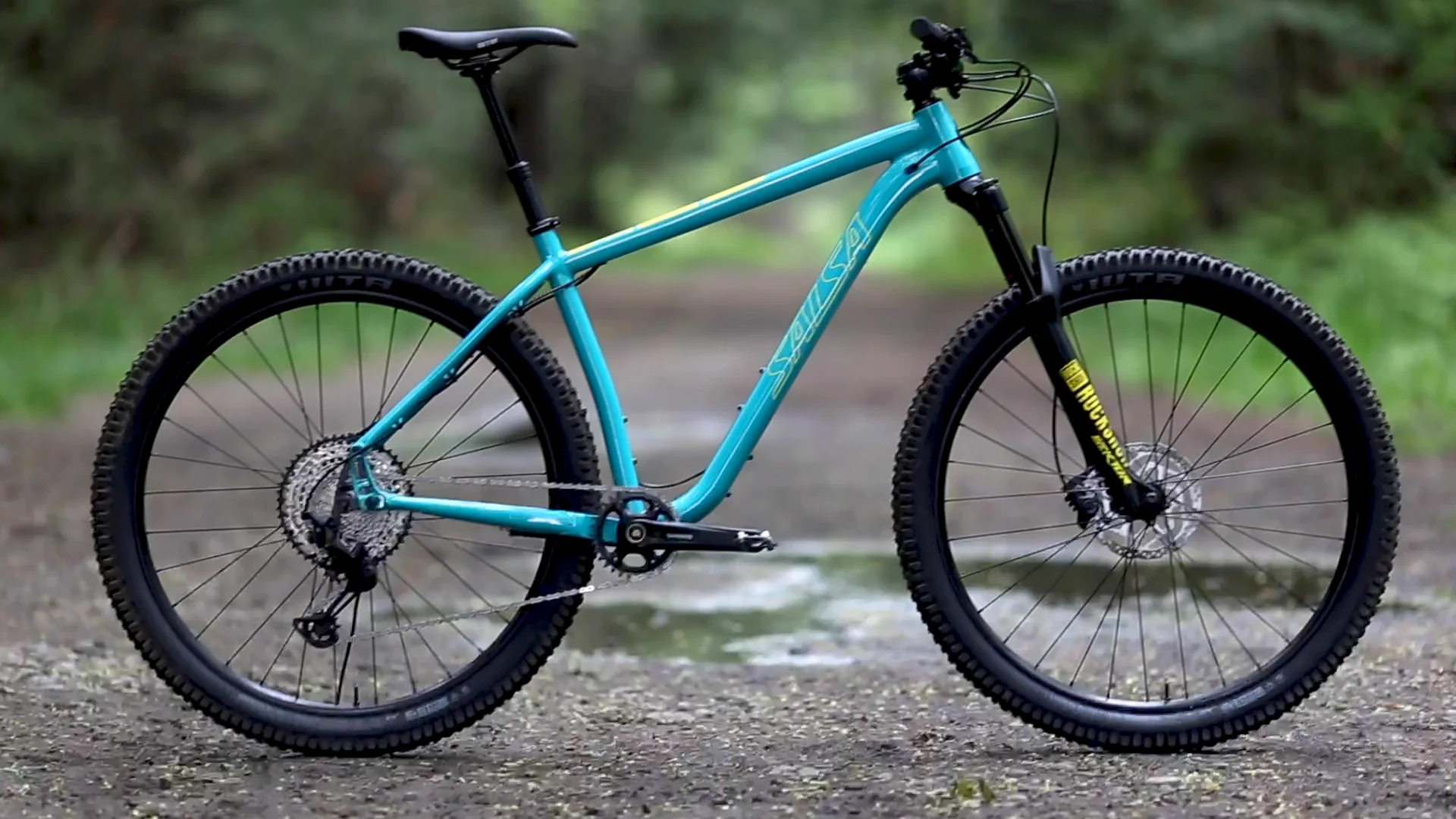 Salsa timberjack teal online