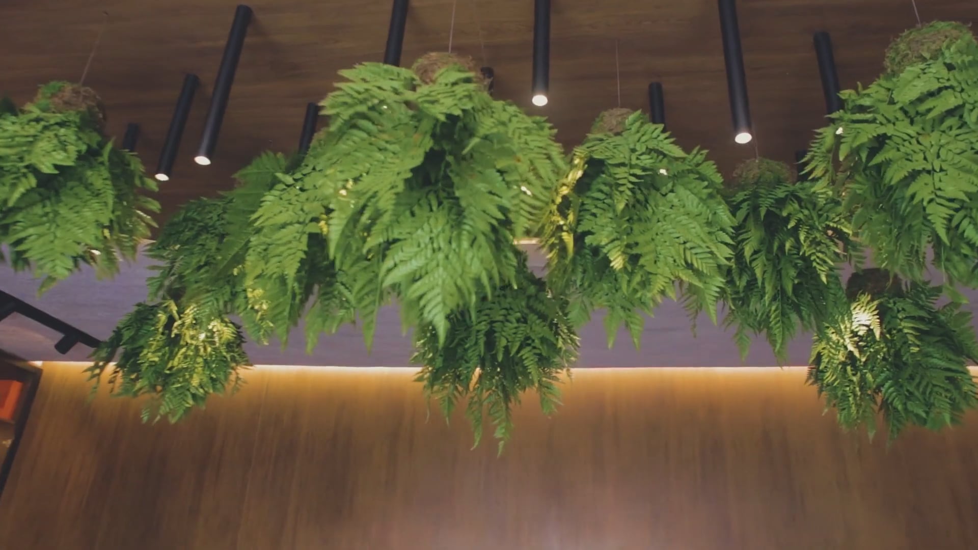 CasaCor 2019 - Vertical Garden