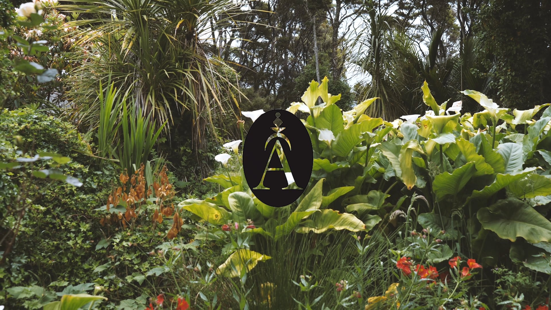Amulet Jewellery Promo Video
