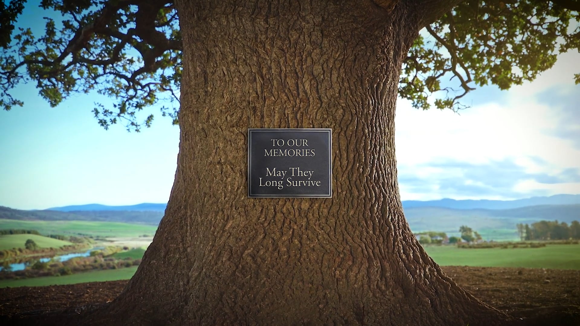 Tree of Life
