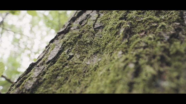 Spot Sant Hilari