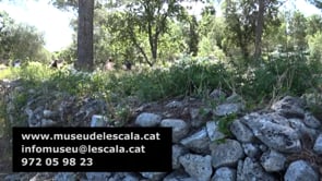 La ruta del Camí del Palau entra a l'oferta de visites guiades