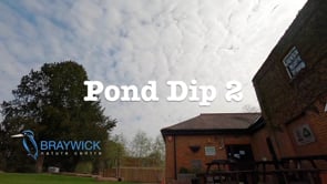 Pond Dip 2