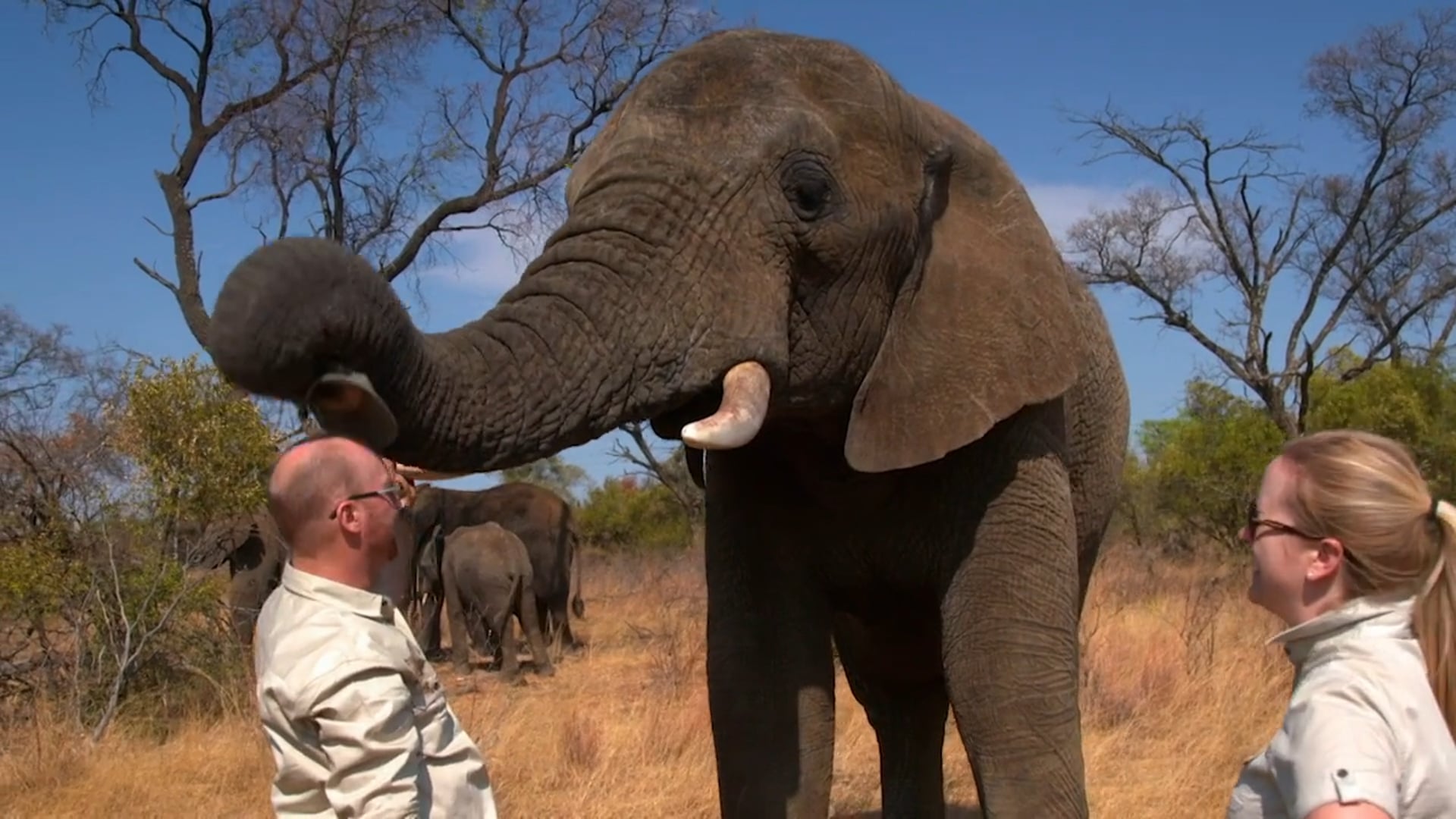 Channel 4/Waddell Media - "Work on the Wild Side"