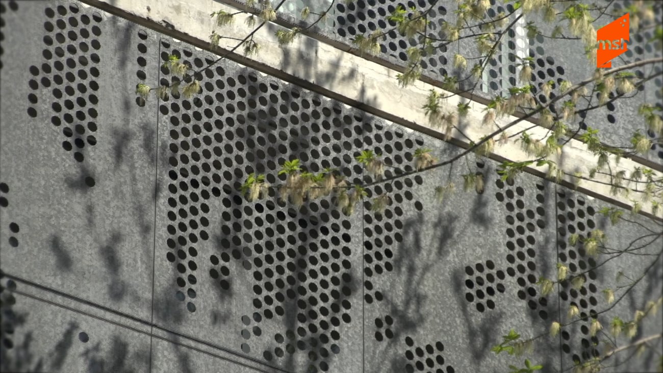 Entrevista al arquitecto Fausto Amadeo