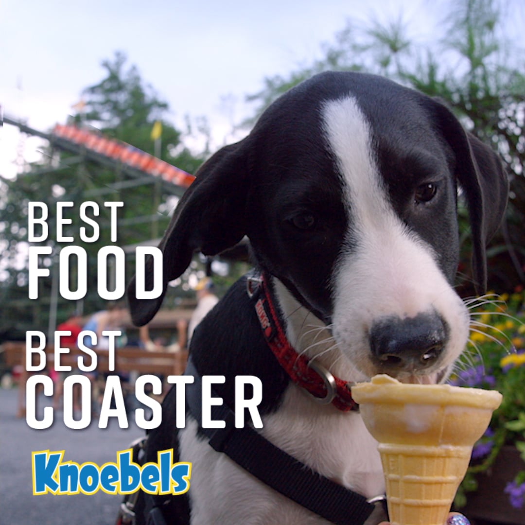 Knoebels Dog Food/Coaster on Vimeo