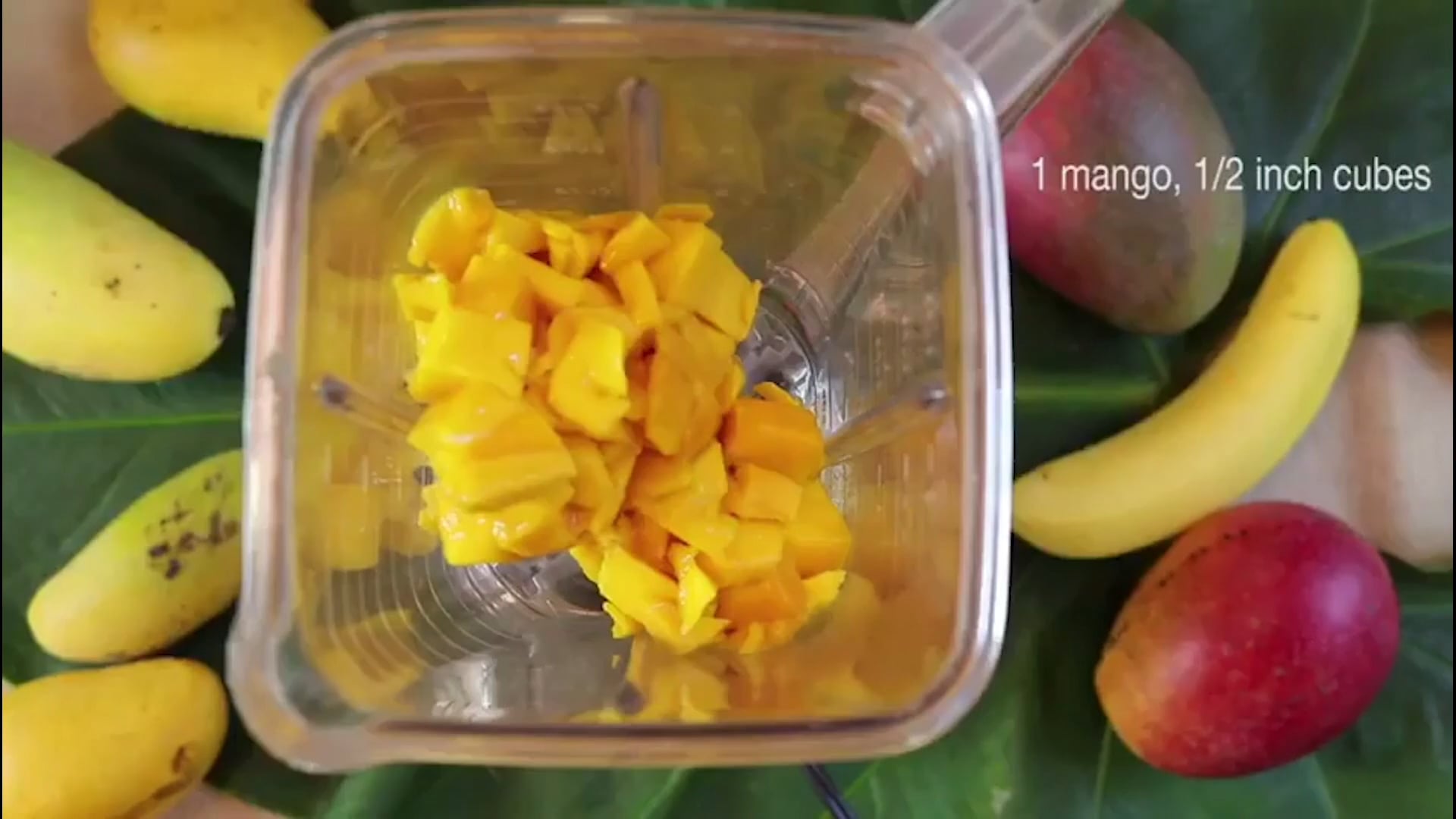 FTBG Lecture Series - Mango Smoothie on Vimeo