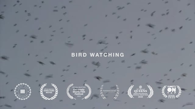 Bird Watching
