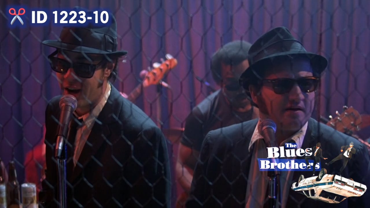 Blues Brothers - 