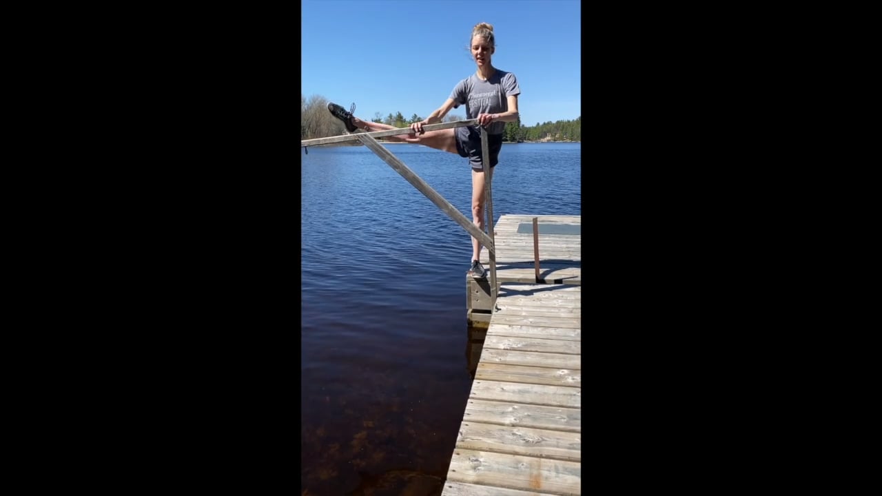 Dock Series- Single Leg Dips