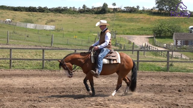 Transitions and turns for a supple horse