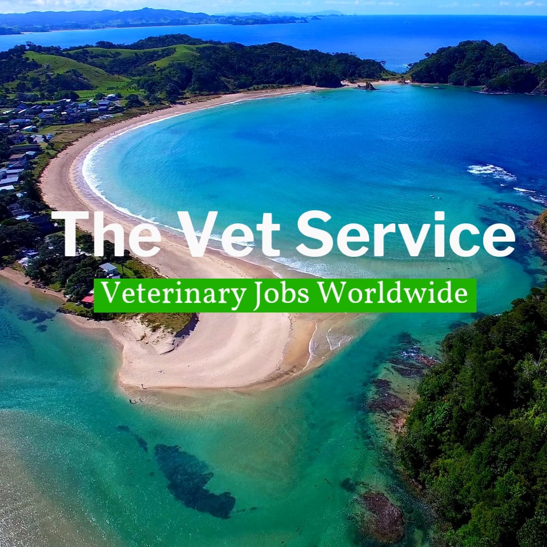 Veterinary Jobs Worldwide on Vimeo