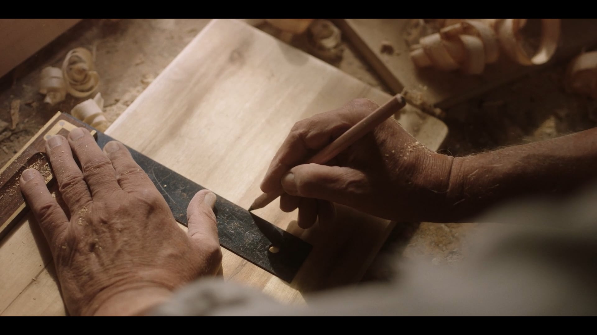 FACKELMANN | Von hier in die Welt