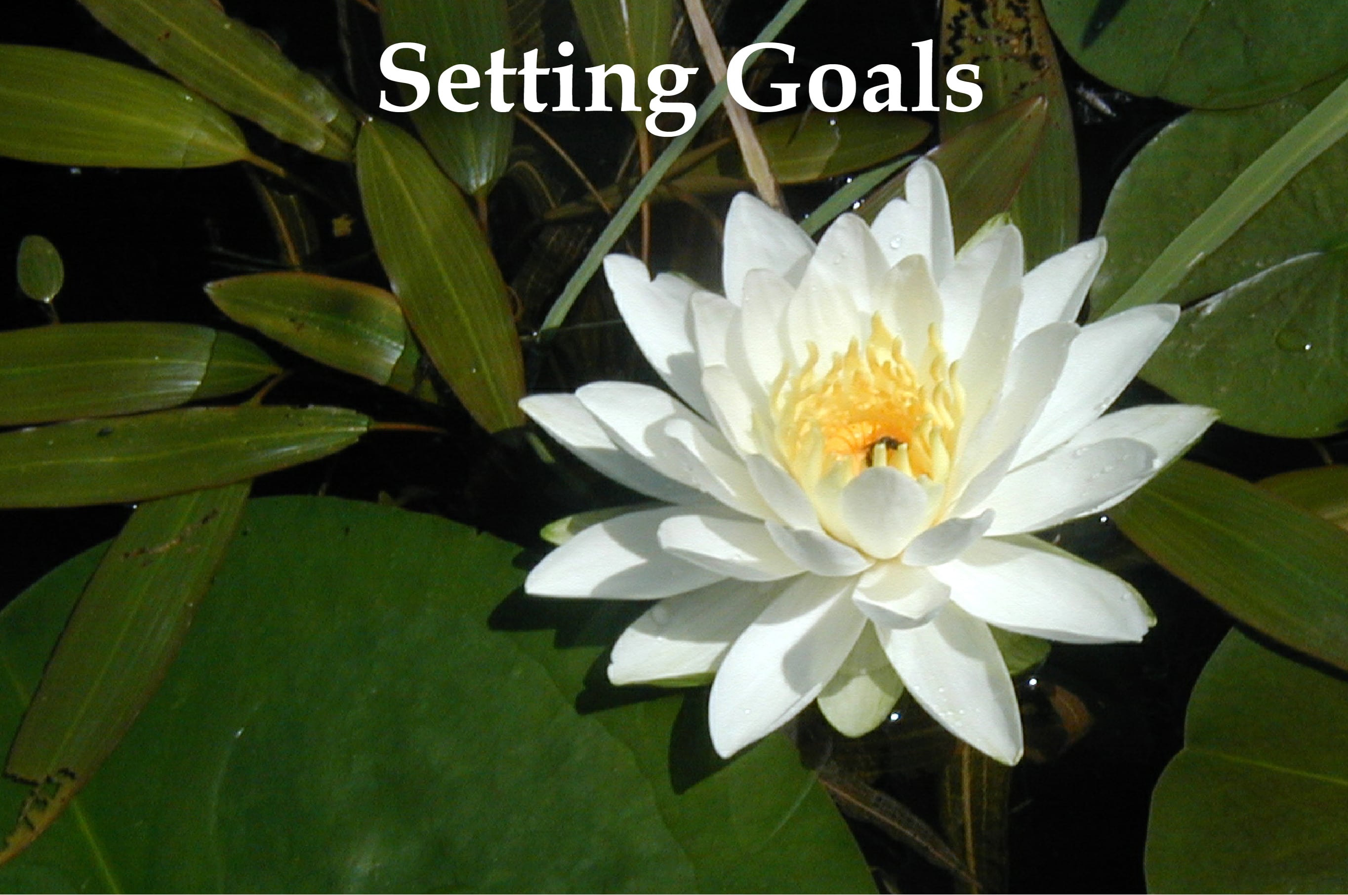 Xoitsmiavip: The Key To [Desired Outcome] - 0cbenrq