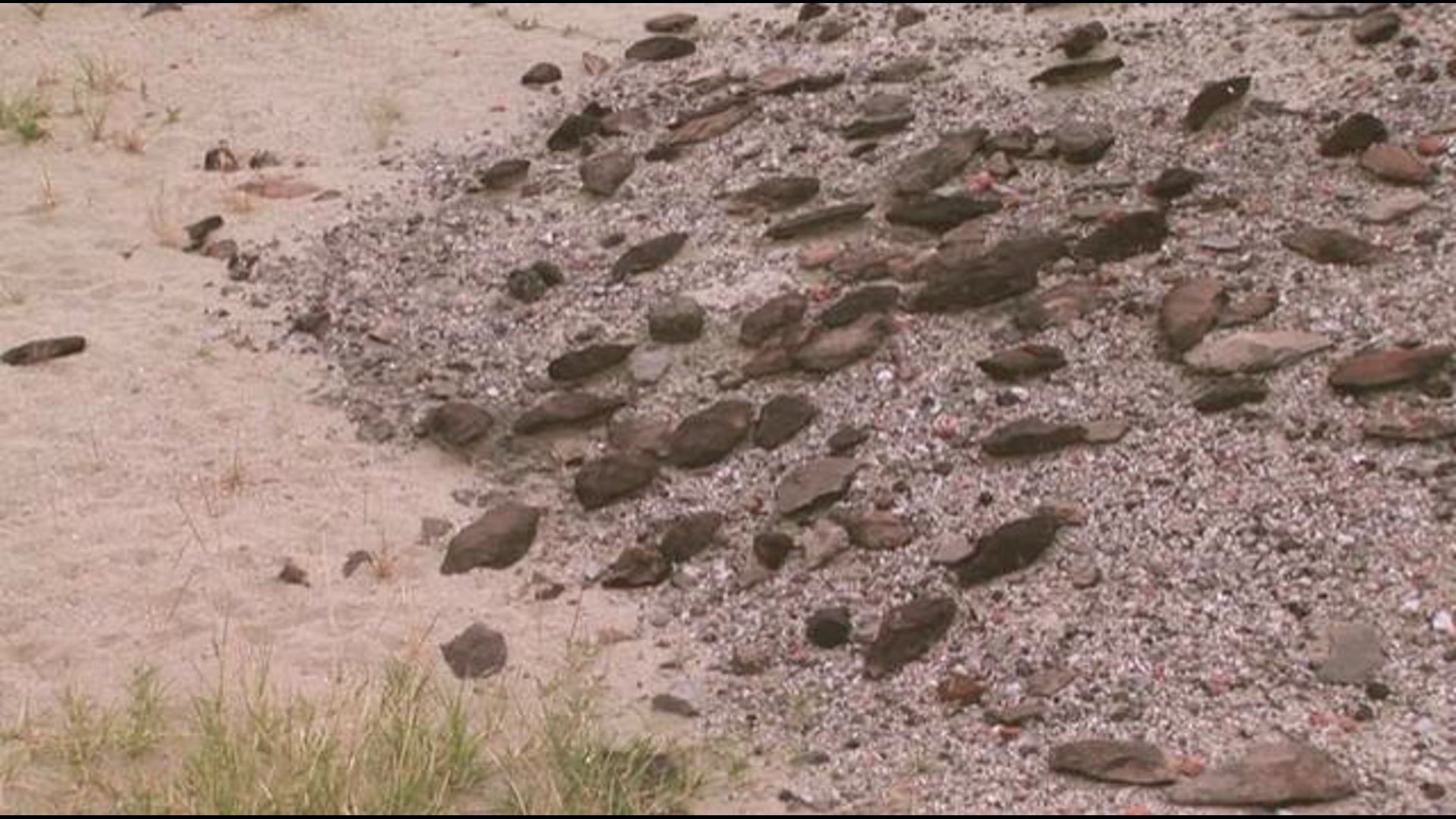 Olorgesaillie field footage