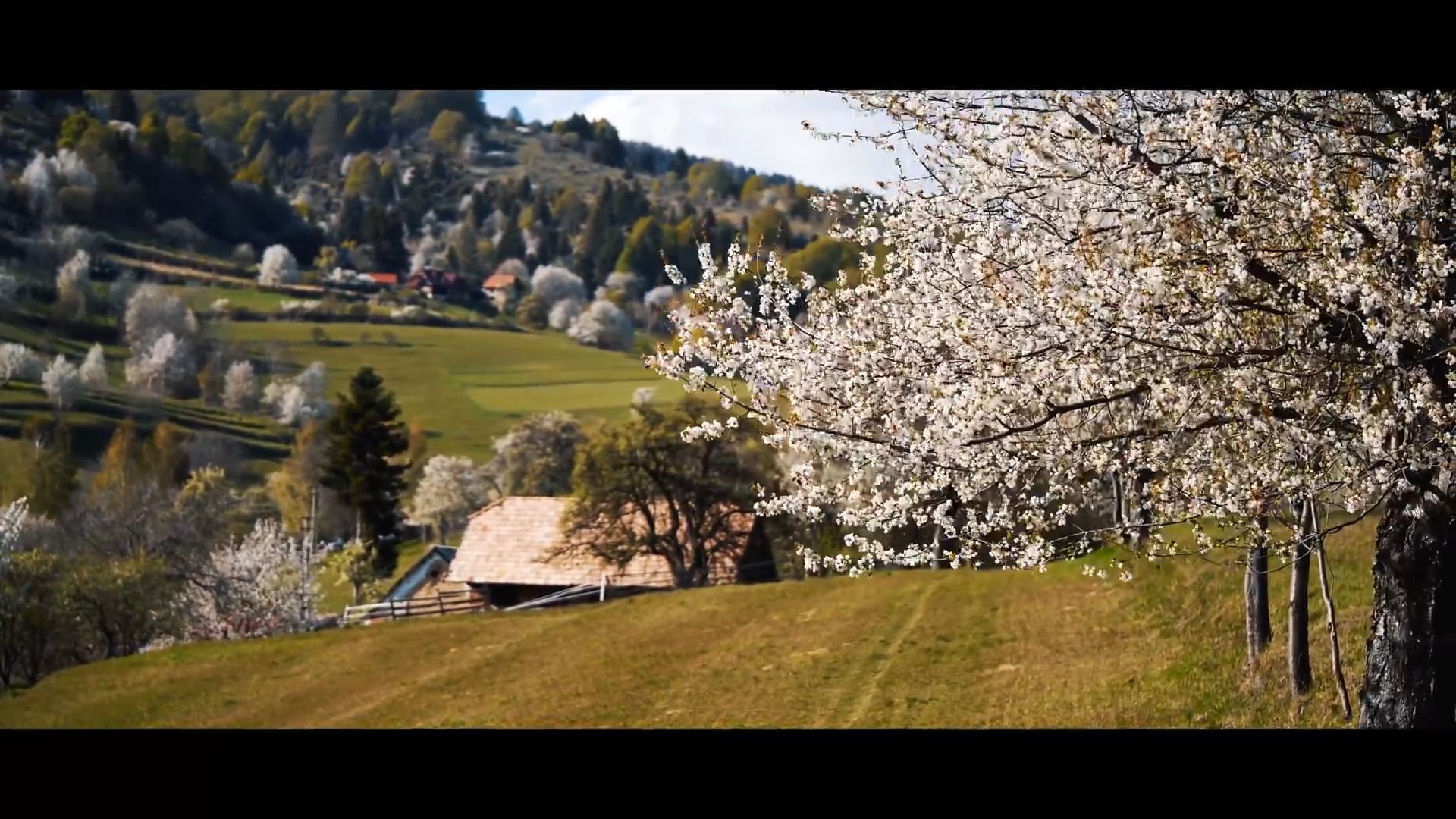 Spring in Slovakia - Hriňovské Lazy