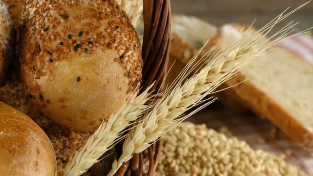 Module 02: The Principles of Nutrition - Video Thumbnail