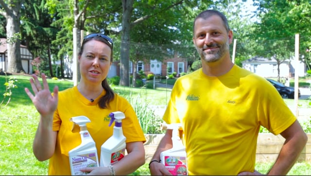 PETITTI Vegetable Gardening in Raised Beds | Part 8: Controlling Insects with Natural Sprays