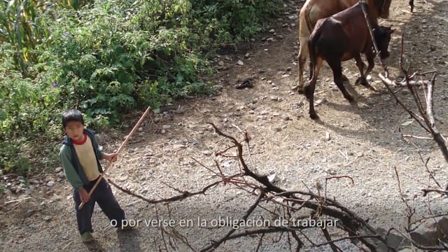 DOCUMENTAL NEPAL