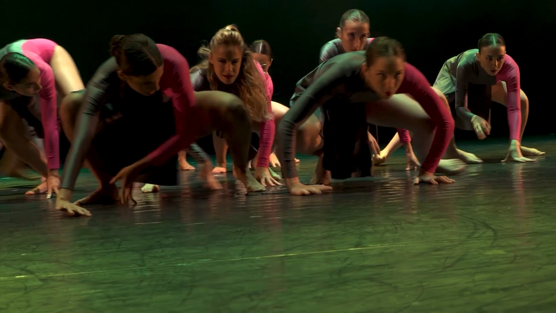 נטלי רביץ מופע