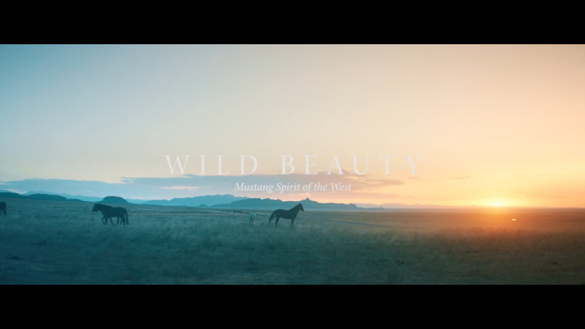 Wild Beauty:  Mustang Spirit of the West (Official Teaser)