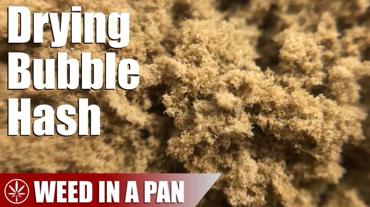 Best Ways to Dry Bubble Hash