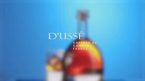 D'Ussé Spec Commercial