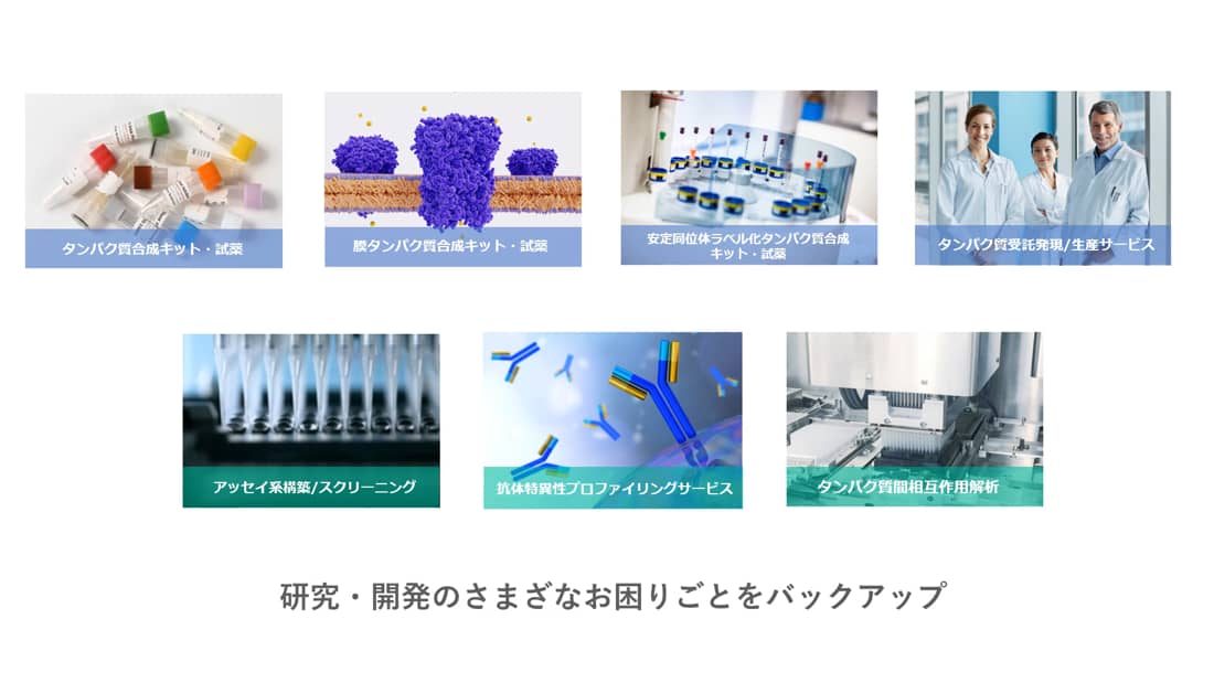 セルフリーサイエンス タンパク質発現 生産はコムギ胚芽無細胞