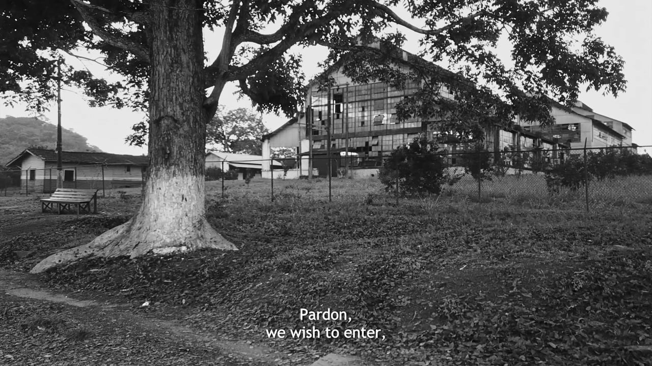 Trailer Fordlandia Malaise