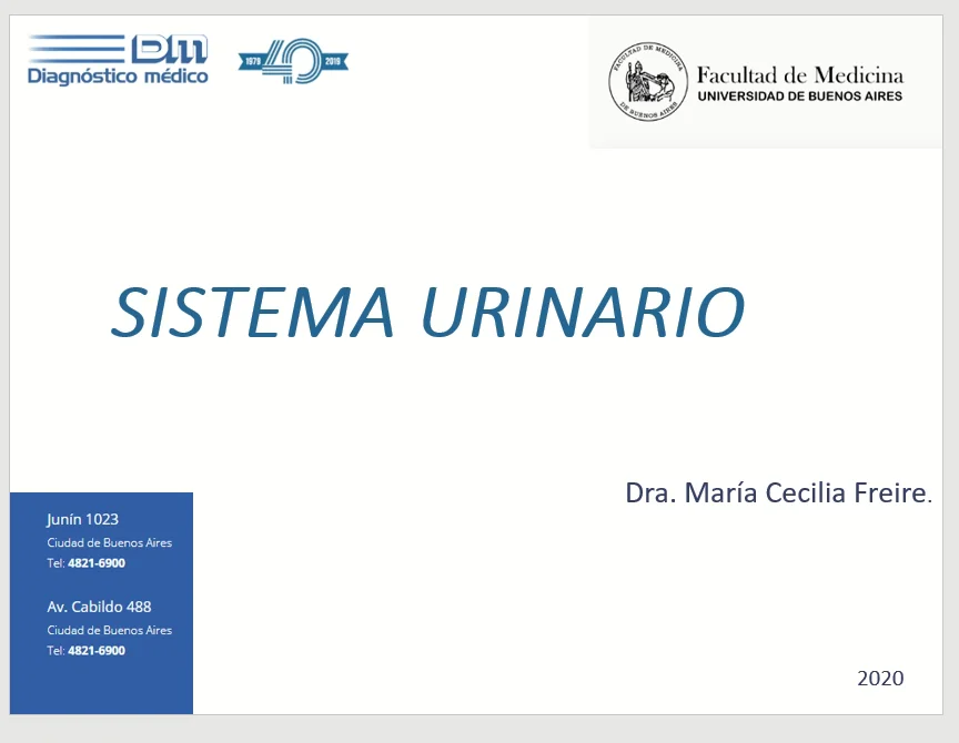 CLASE SISTEMA URINARIO UBA 2020 DRA FREIRE on Vimeo