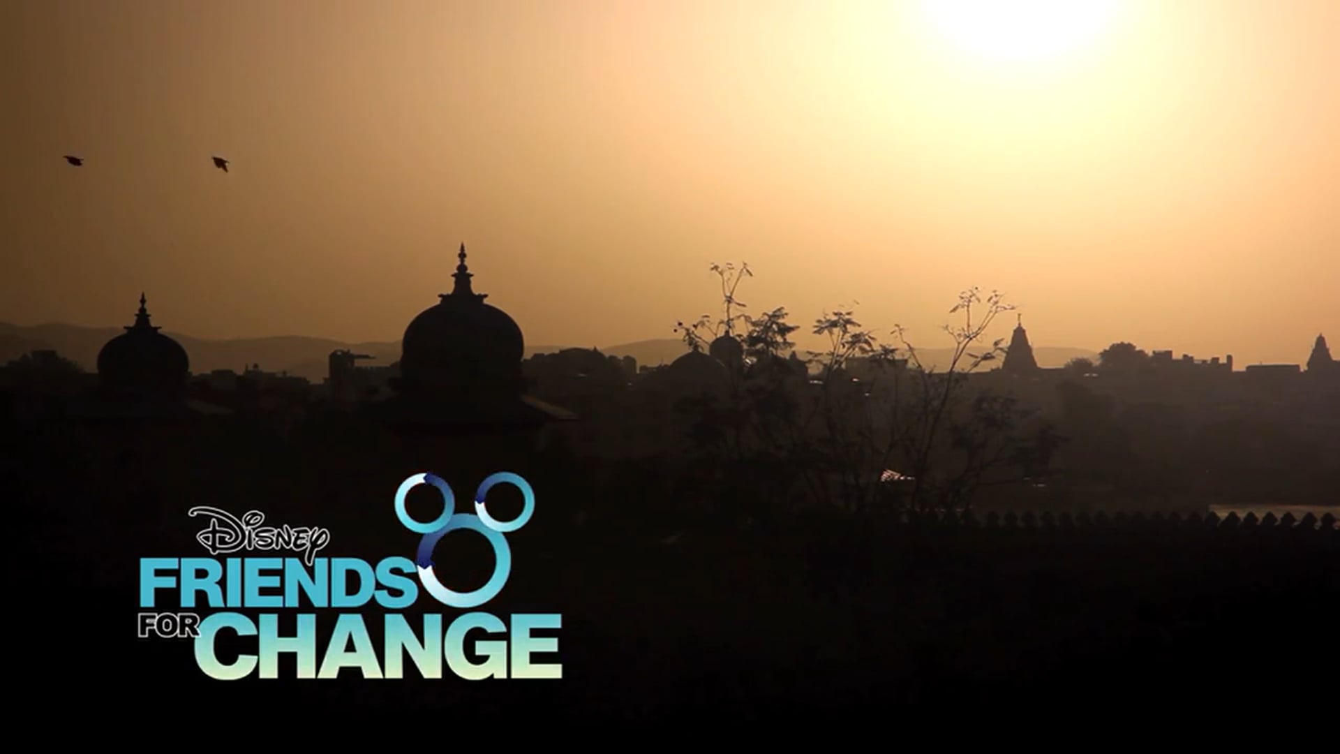DISNEY CHANNEL:  FRIENDS for CHANGE “INDIA”
