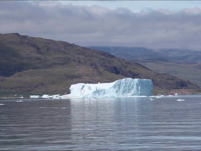 les icebergs
