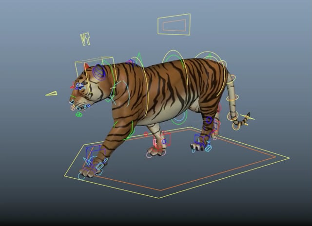 bengal tiger anim walkcycle – RIG-IT