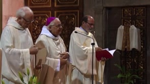 La Festa del Carme es podrà seguir per Canal 10