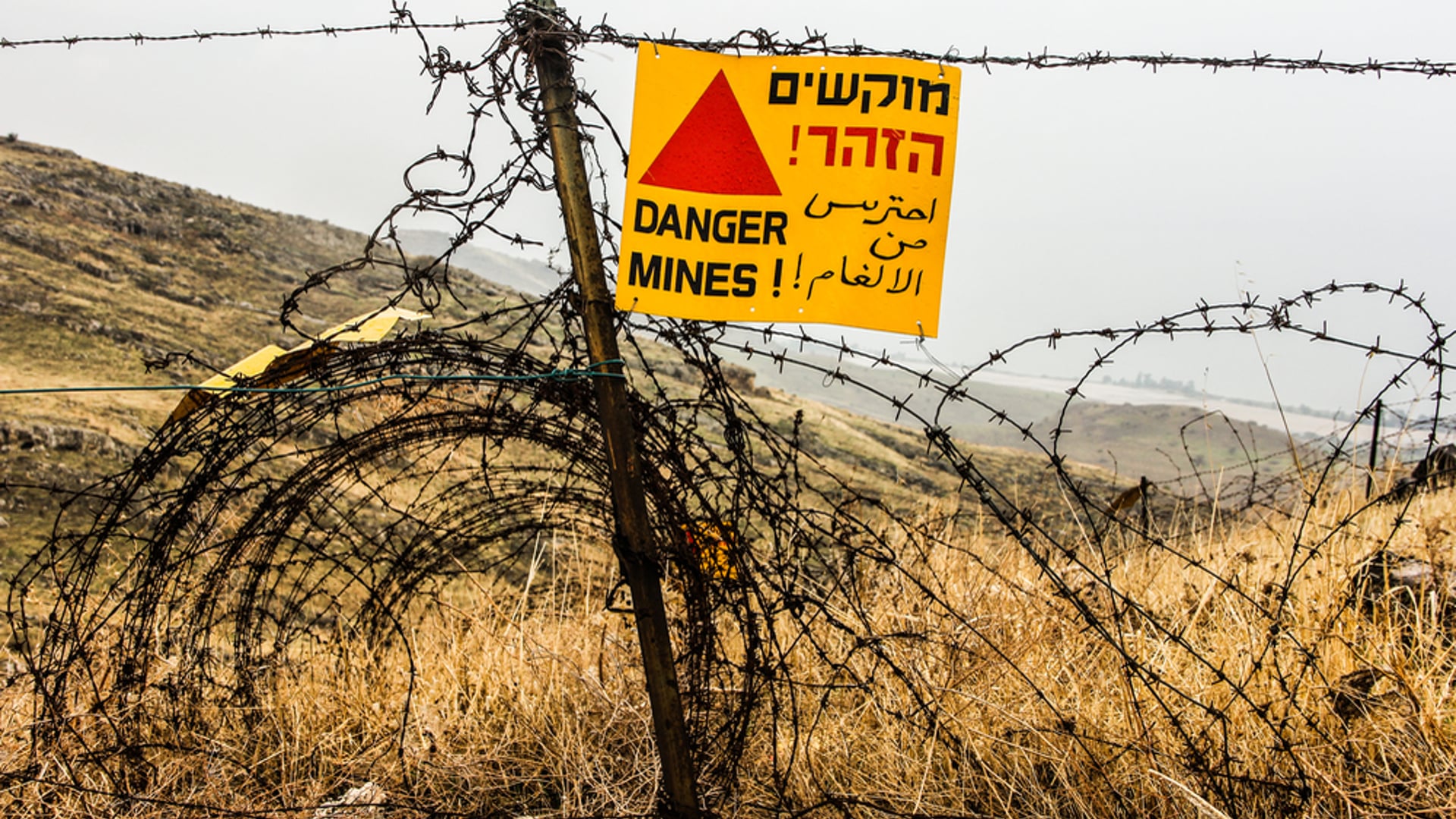 In the Golan Heights