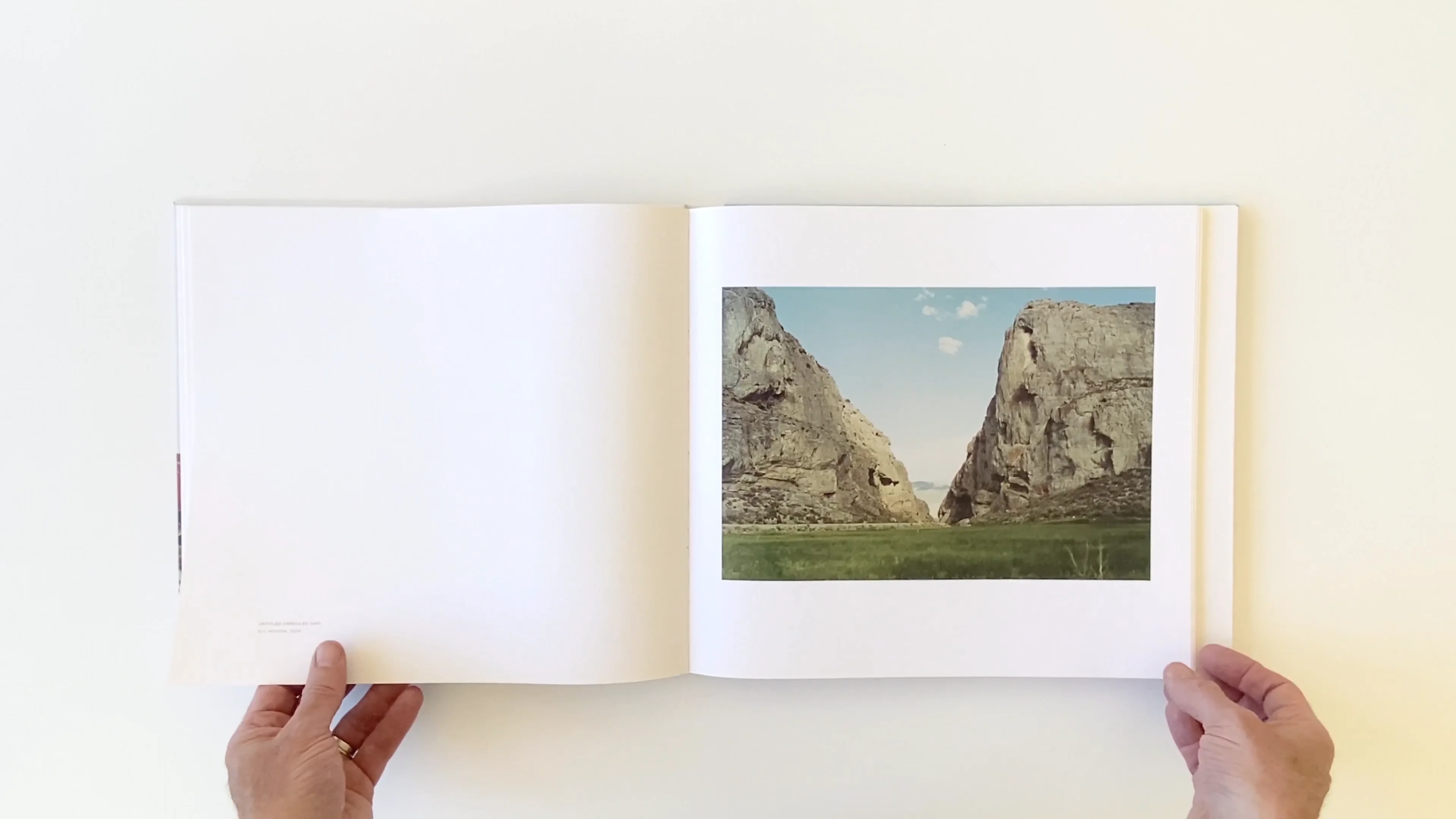Victoria Sambunaris: Taxonomy of a Landscape Victoria Sambunaris: Taxonomy of a Landscape