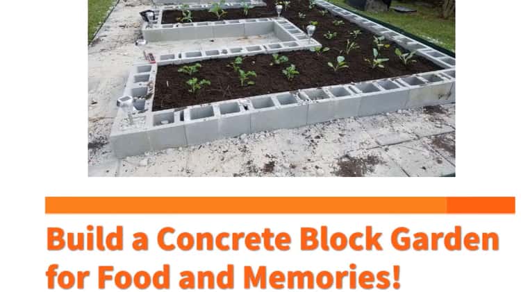 Cinder Block Raised Garden Bed