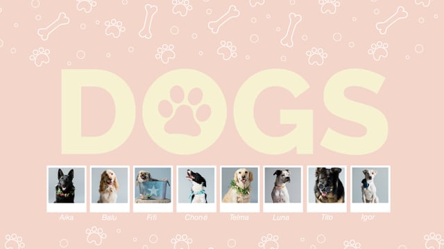 #dog #dogsofinstagram #dogs #puppy #dogstagram #instadog #doglover #love #dogoftheday 