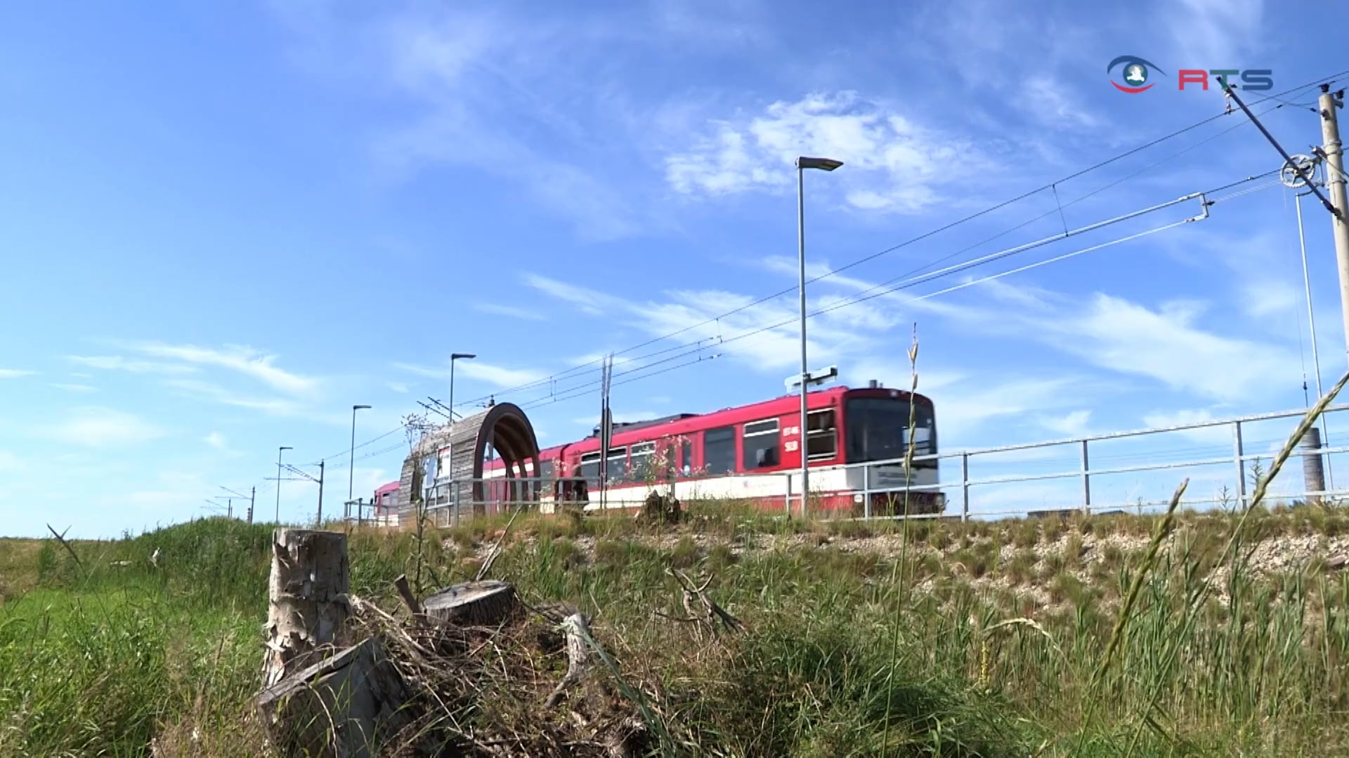 eidechsenhabitate-wurden-entlag-der-lokalbahn-geschaffen