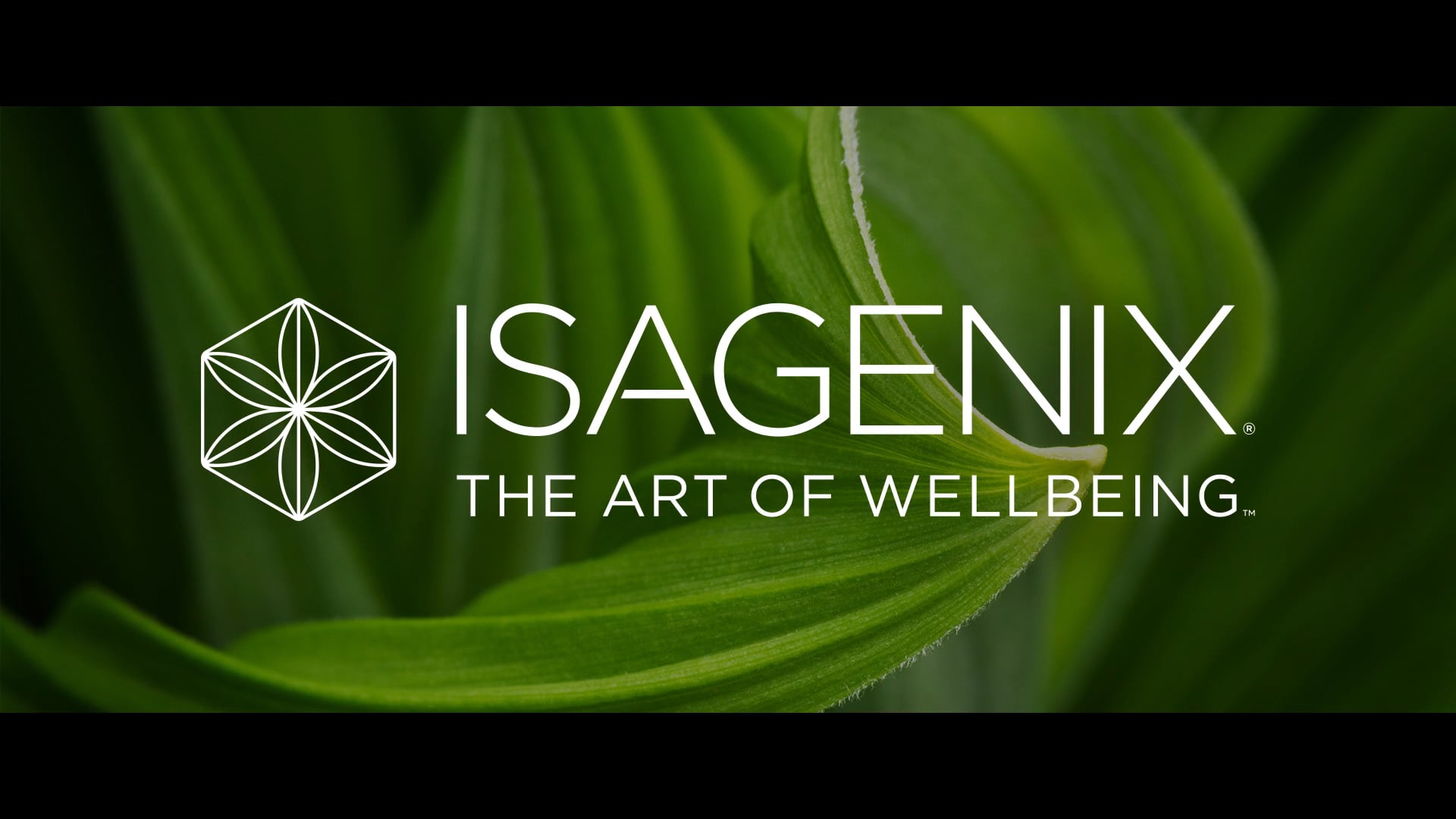 The Art of WellBeing