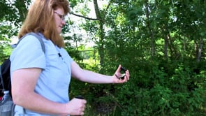 Day 1 Missions | Virtual VBS | Spotswood Baptist Church