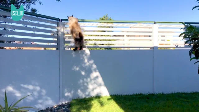 Oscillot cat fence system