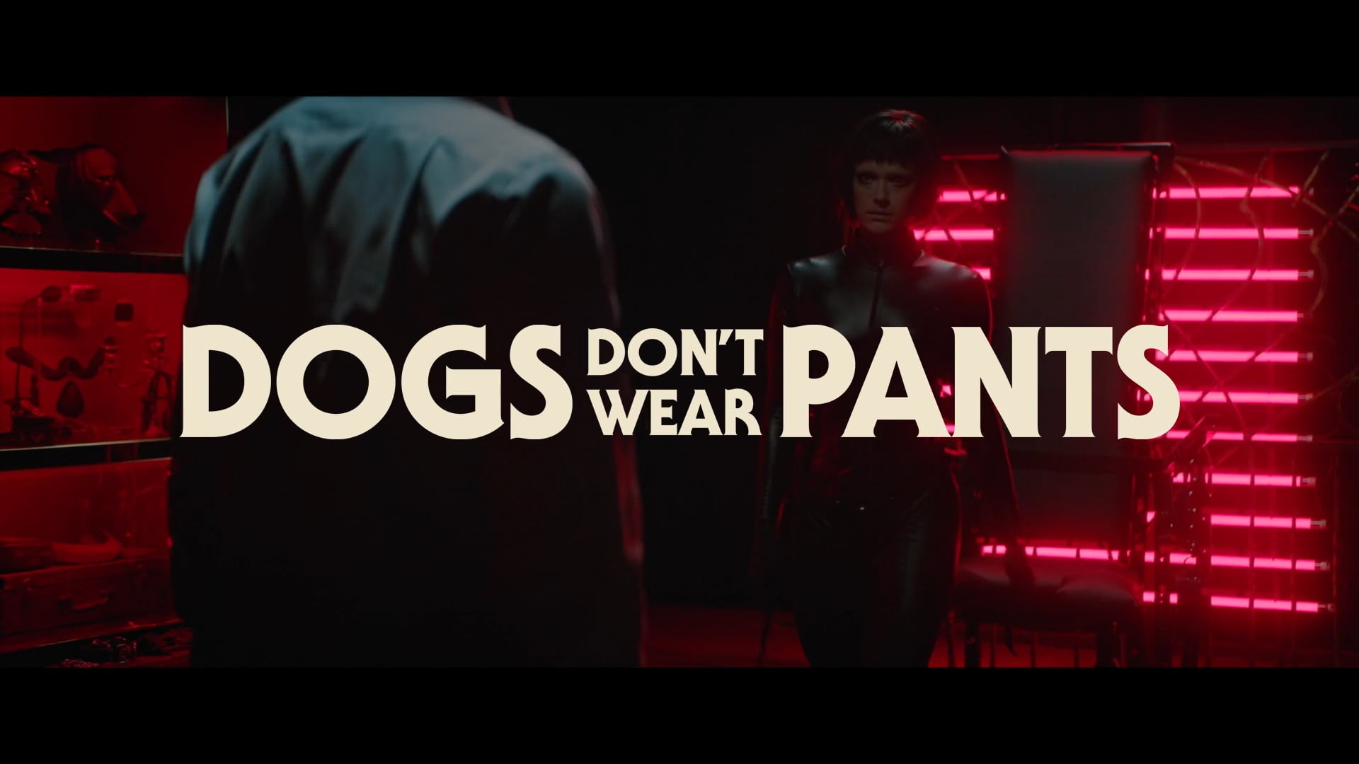 Watch DOGS DON'T WEAR PANTS Online Vimeo On Demand on Vimeo