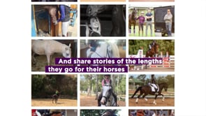 International Equestrian Federation - Customer Success Story