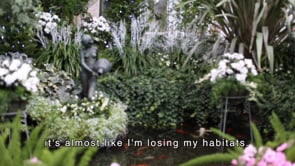 G.P. 'Habitat' Captions