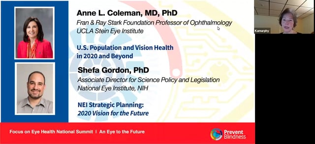 NEI Strategic Planning: 2020 Vision for the Future