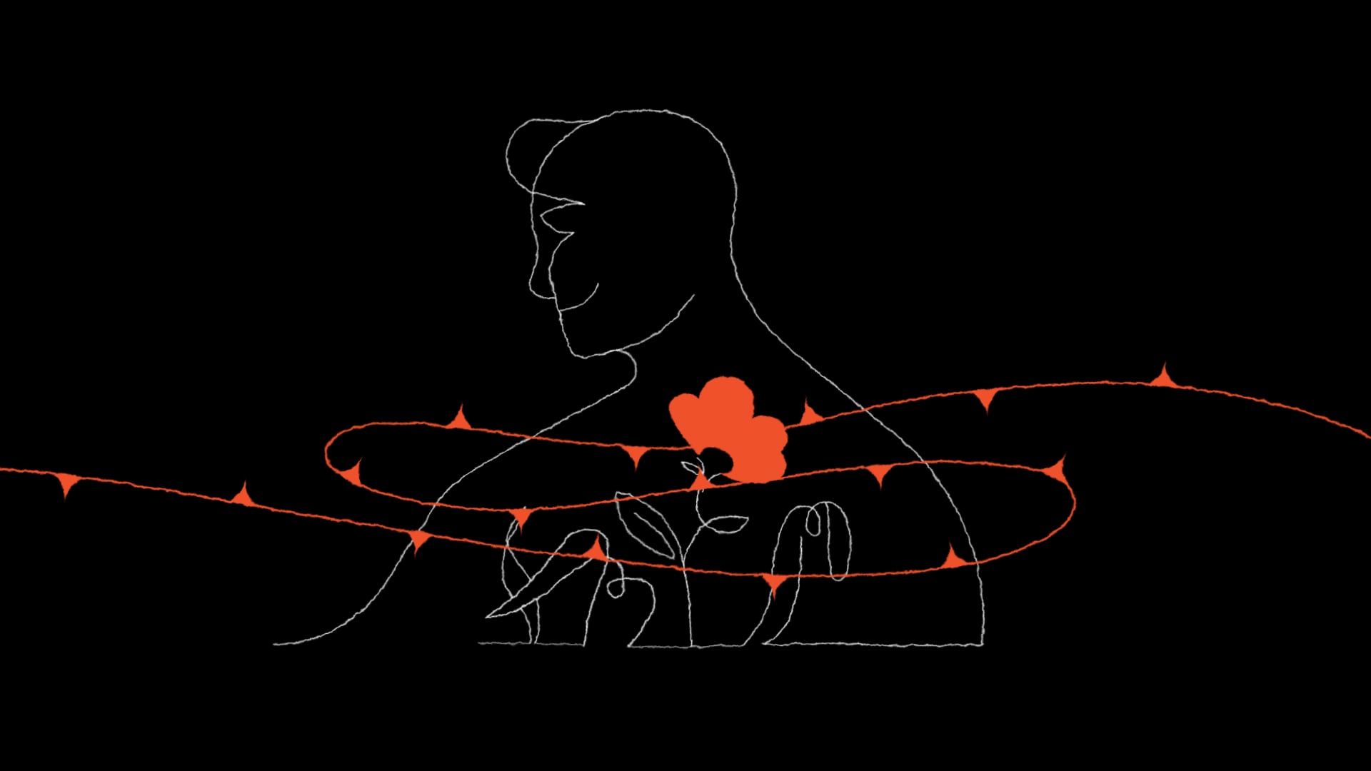 ANMAR - Animation