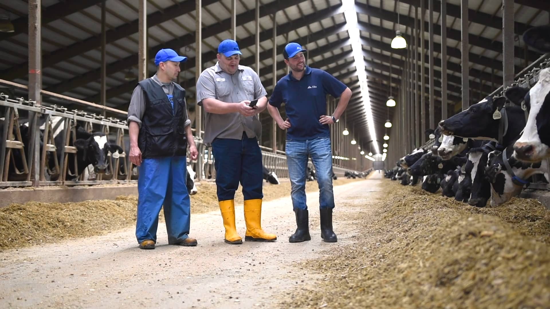 Alta COW WATCH Dairy Dreams, USA (English) 2 on Vimeo